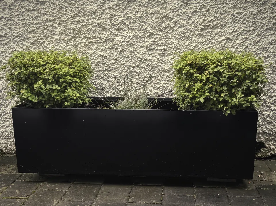 Long black planter trough
